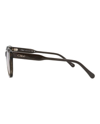 Chloé Chloé Womens Round/Oval Brown Brown Transparent Fashion Designer Eyewear
