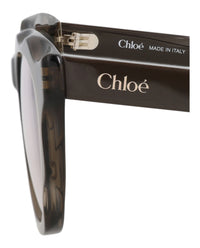 Chloé Chloé Womens Round/Oval Brown Brown Transparent Fashion Designer Eyewear