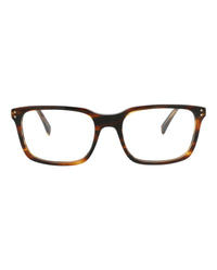 Celine Mens Square/Rectangle Havana Havana Transparent Fashion Designer Eyewear Havana Havana Transparent
