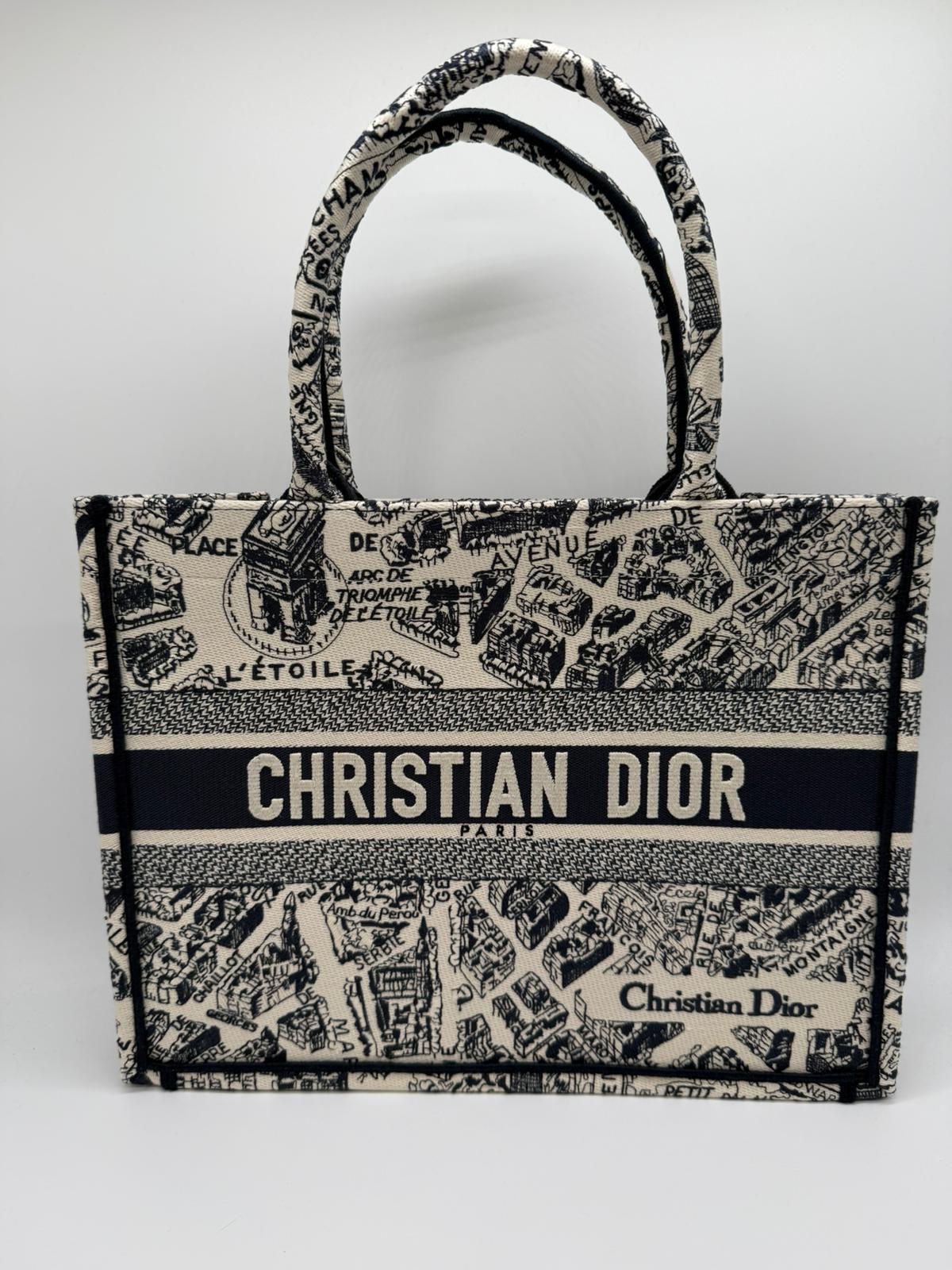 DIOR BOOK TOTE MEDIUM PLAN DE PARIS - WHITE BLUE