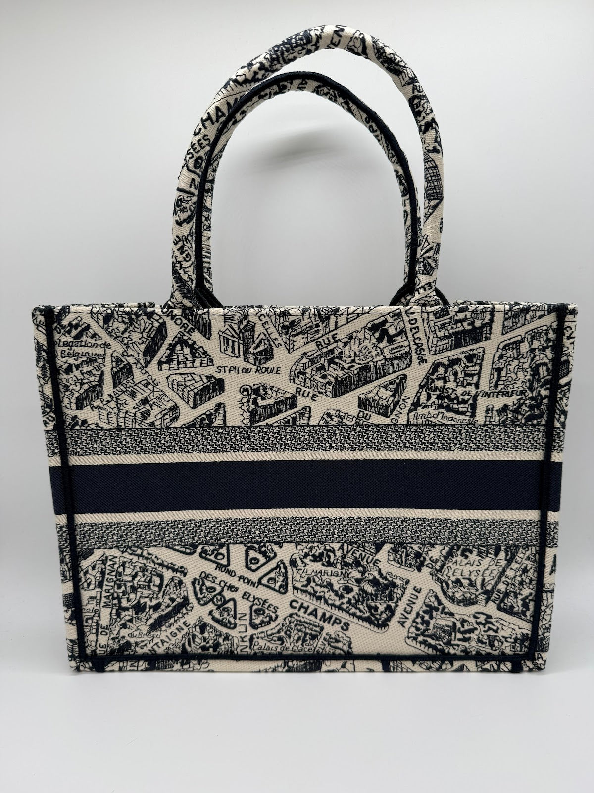 DIOR BOOK TOTE MEDIUM PLAN DE PARIS - WHITE BLUE