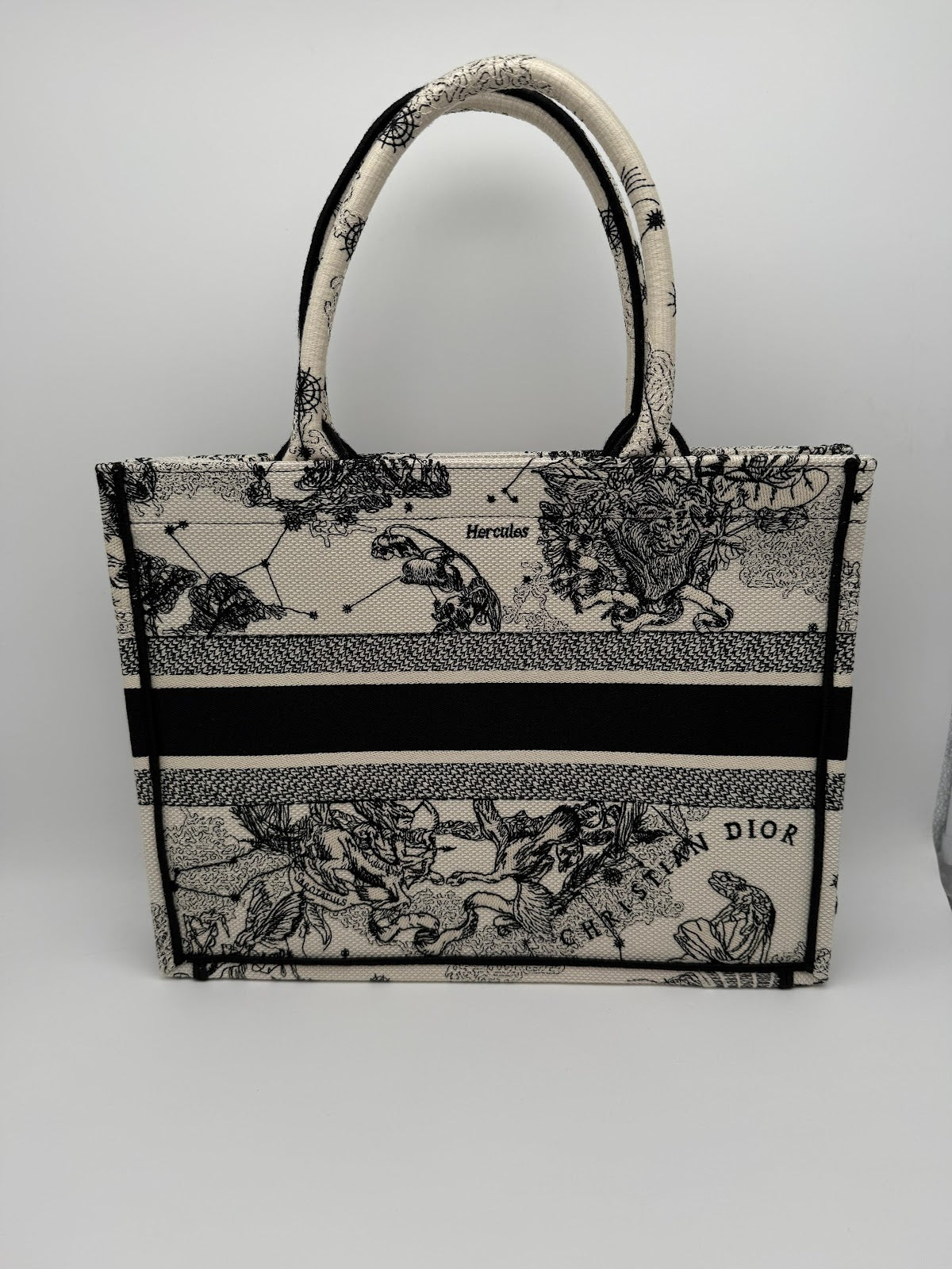 DIOR BOOK TOTE MEDIUM M1296 - Zodiac Embroidery in Latte and Black