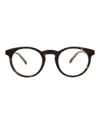 Dunhill Mens Round/Oval Havana Havana Transparent Fashion Designer Eyewear