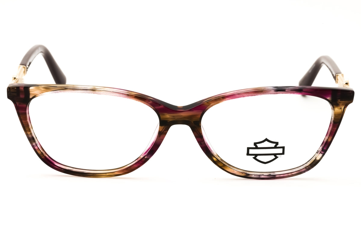 Harley Davidson Harley Davidson HD50151 Eyeglasses