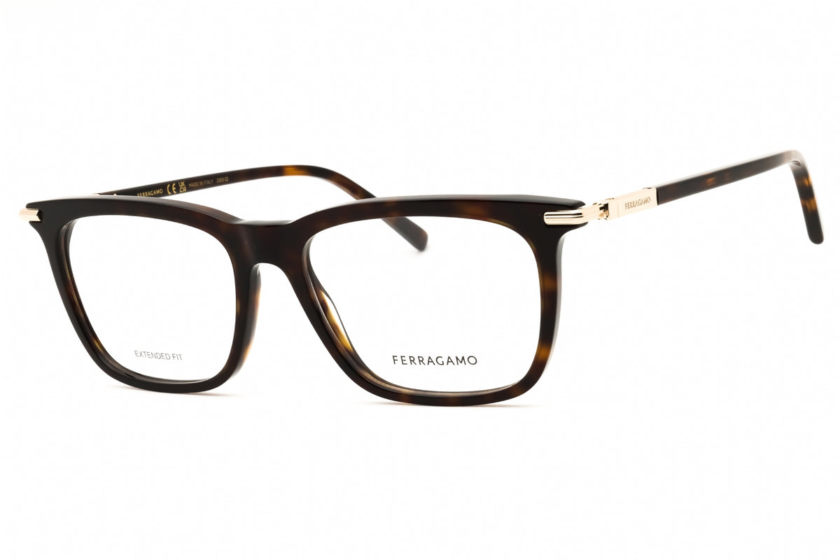 Salvatore Ferragamo SF3007 Eyeglasses