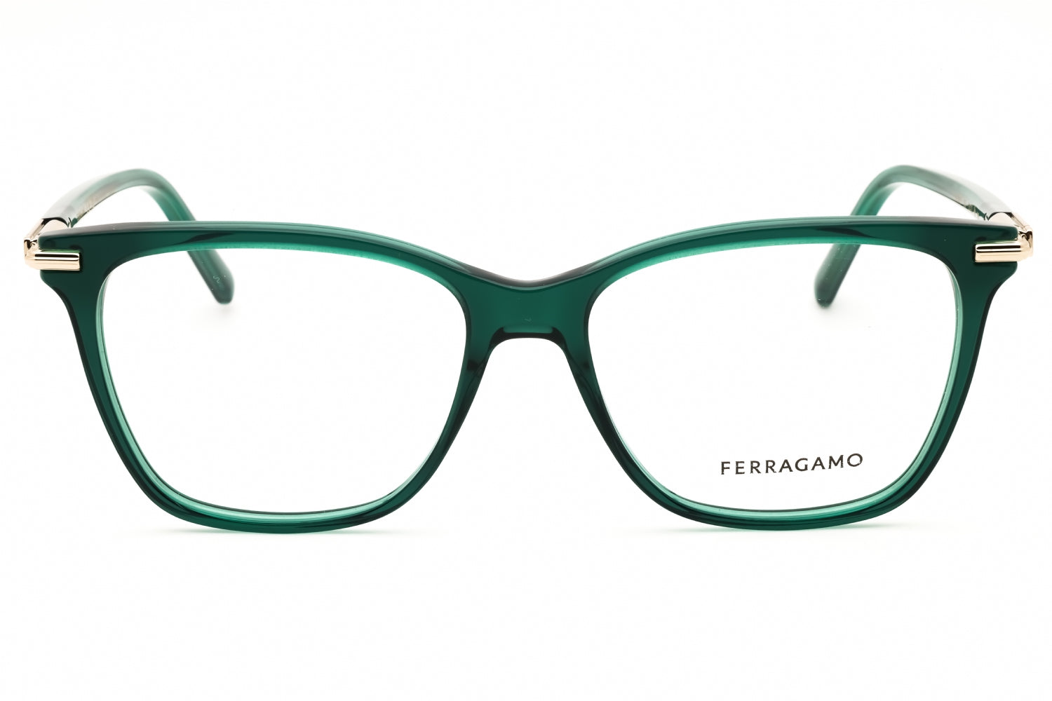 Salvatore Ferragamo Salvatore Ferragamo SF3013 Eyeglasses