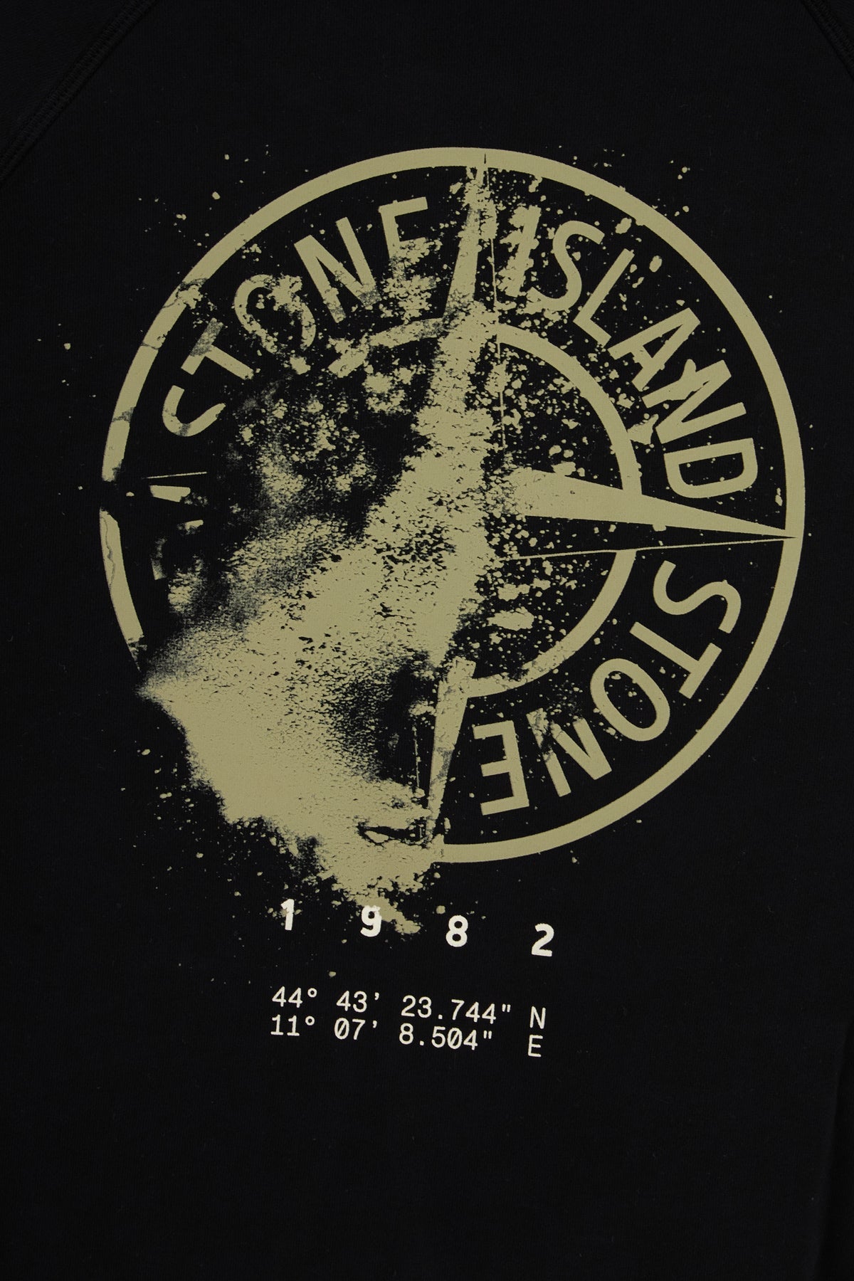 Stone Island Man Clothing Sweatshirts