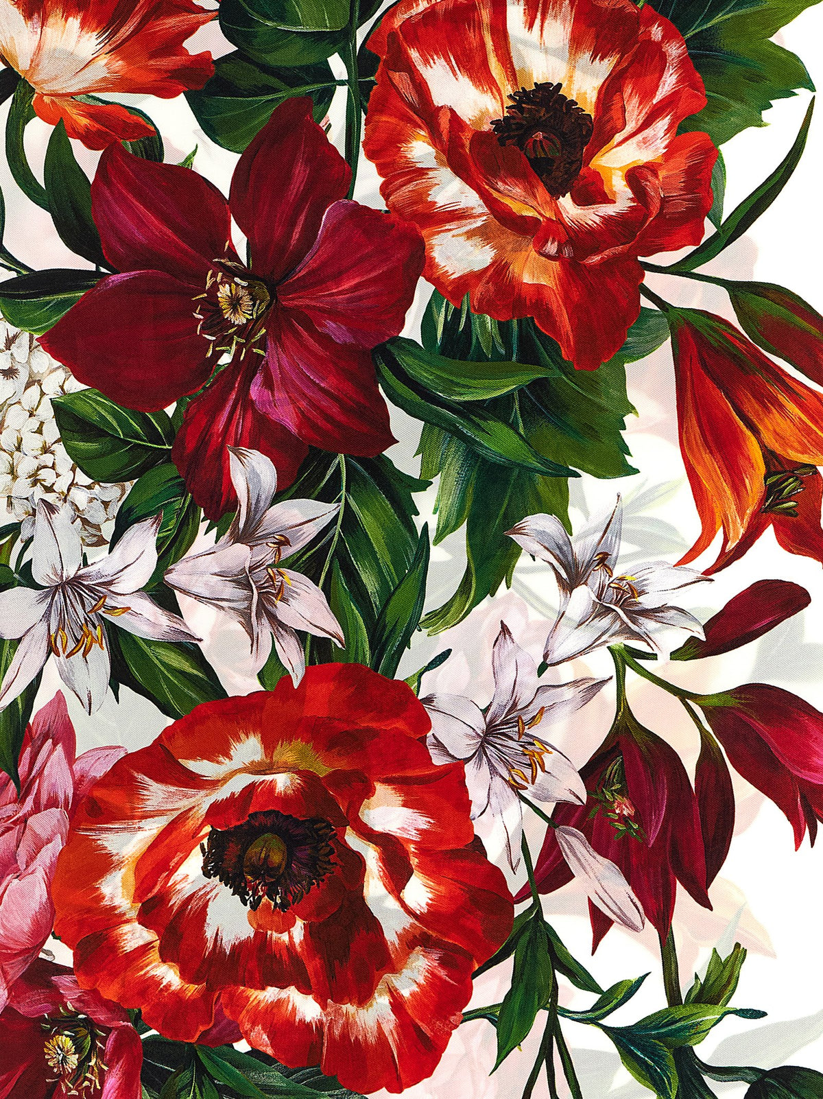 Dolce & Gabbana Women Floral Print Scarf