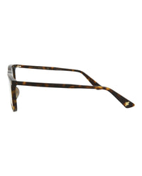 Gucci Gucci Mens Round/Oval Havana Havana Transparent Fashion Designer Eyewear