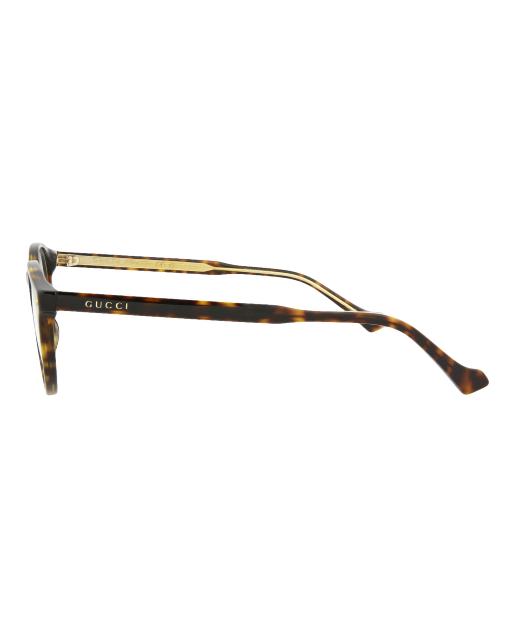 Gucci Unisex Round/Oval Havana Havana Transparent Fashion Designer Eyewear