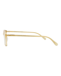 Gucci Gucci Womens Square/Rectangle Brown Brown Transparent Fashion Designer Eyewear