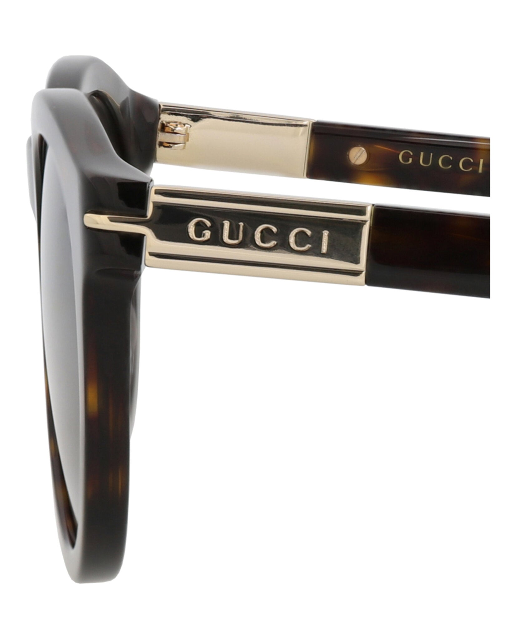 Gucci Gucci Mens Round/Oval Havana Havana Brown Fashion Designer Eyewear