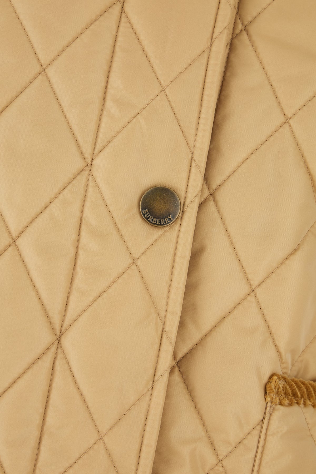 BURBERRY Burberry Woman Clothing Jackets