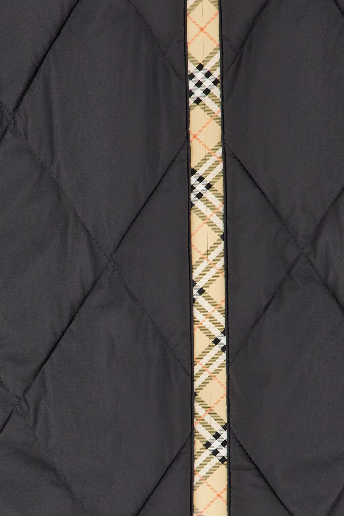 Burberry Man Clothing Jackets