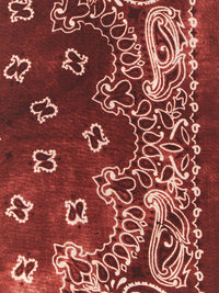 GOLDEN GOOSE Golden Goose Women Paisley Scarf