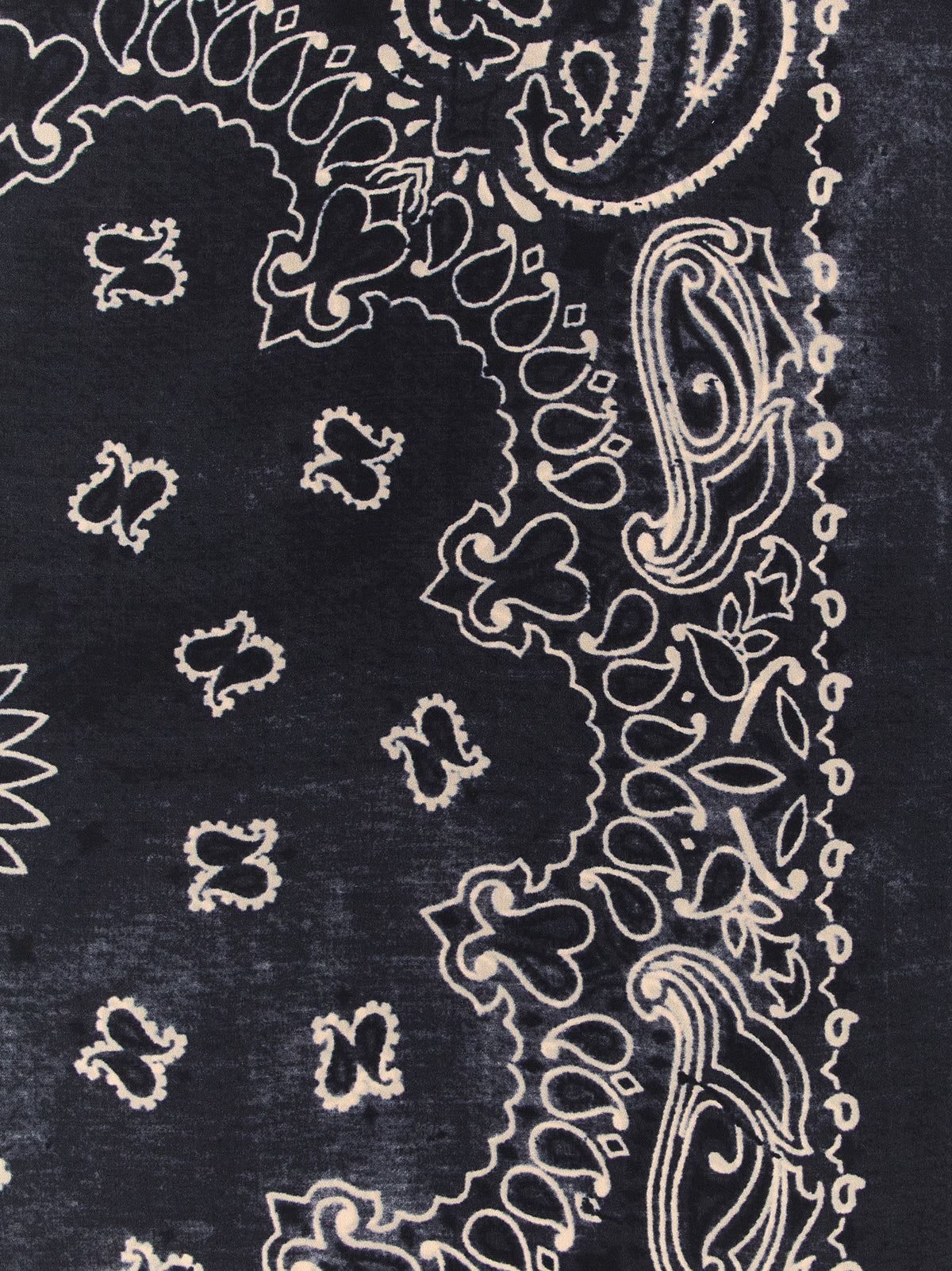 GOLDEN GOOSE Golden Goose Women Paisley Scarf