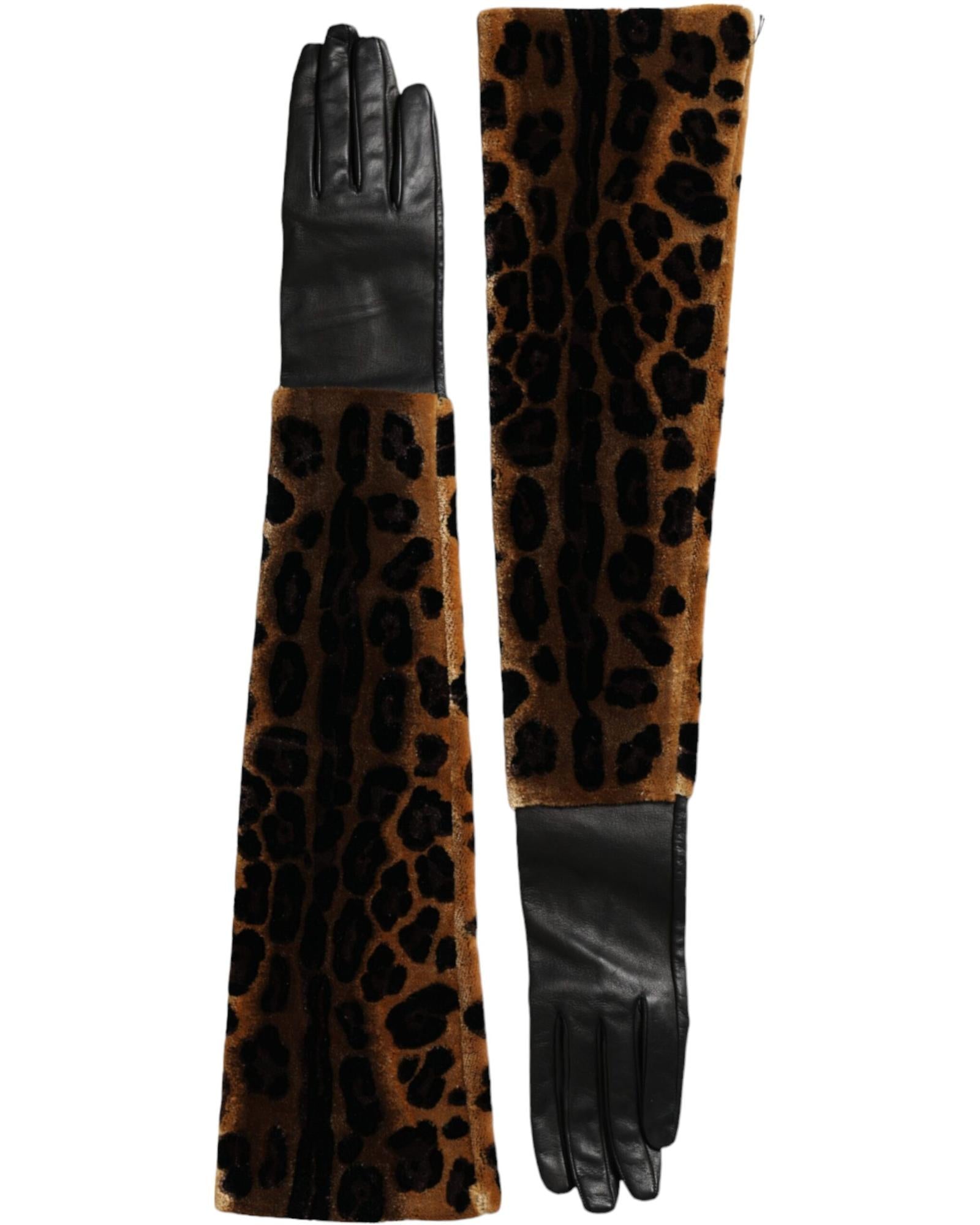 Dolce & Gabbana  Leopard Print Gloves