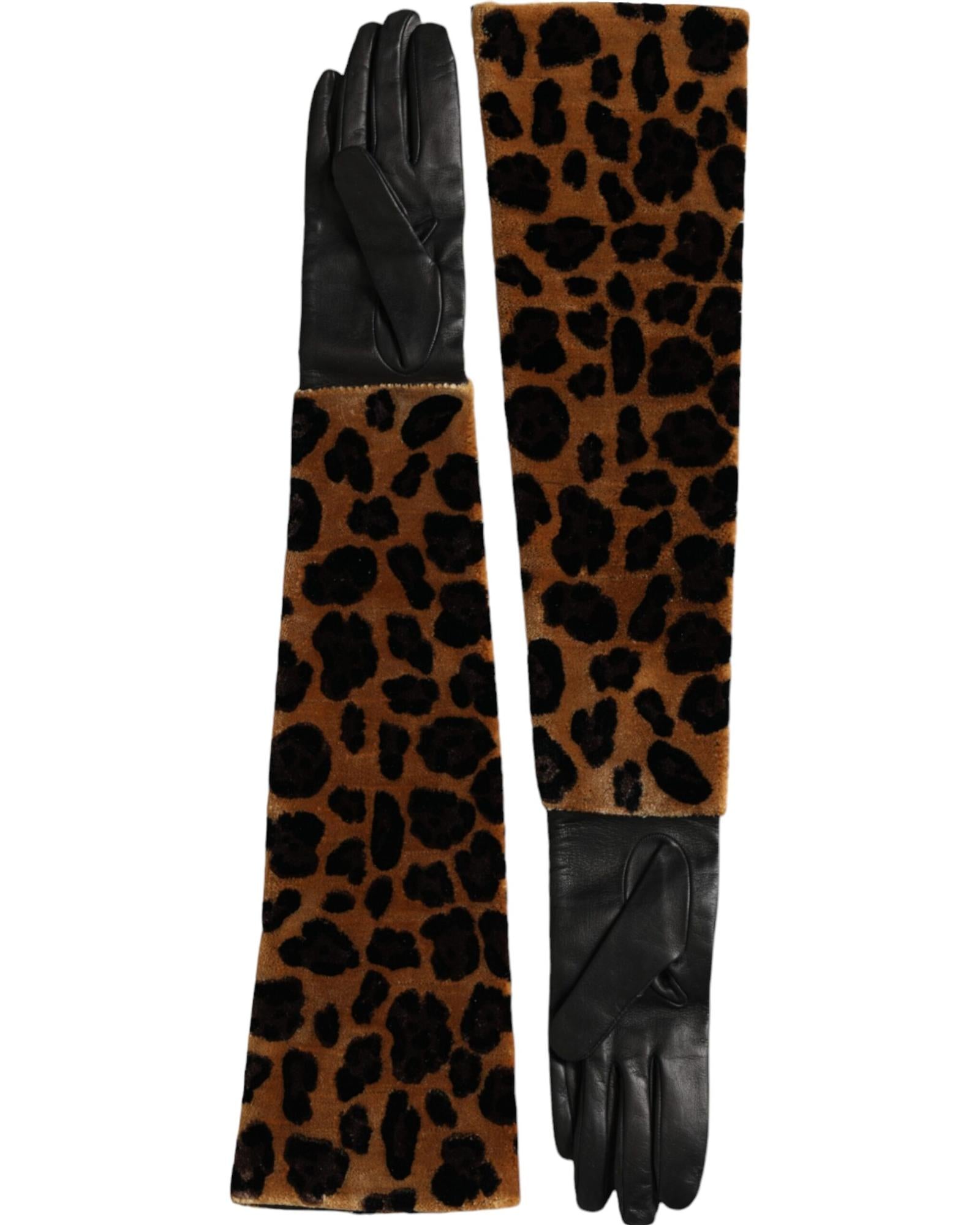Dolce & Gabbana  Leopard Print Gloves