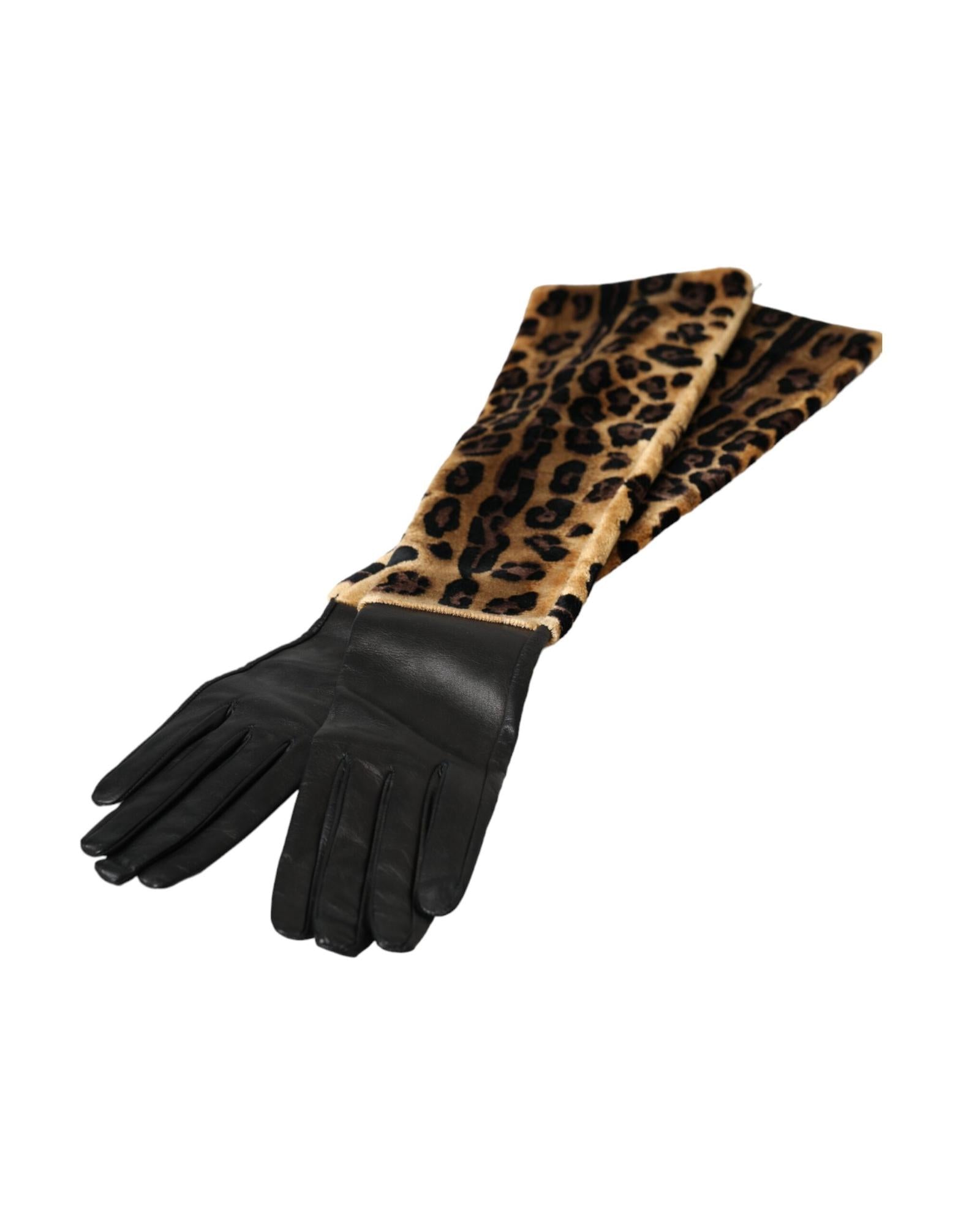 Dolce & Gabbana  Leopard Print Gloves