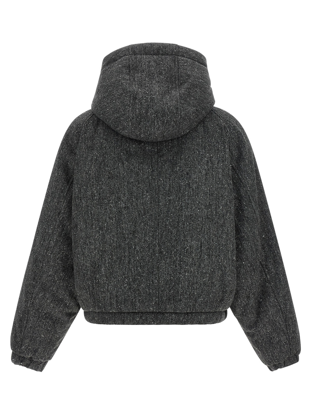 Brunello Cucinelli Women 'Shiny Zipper Pull' Down Jacket