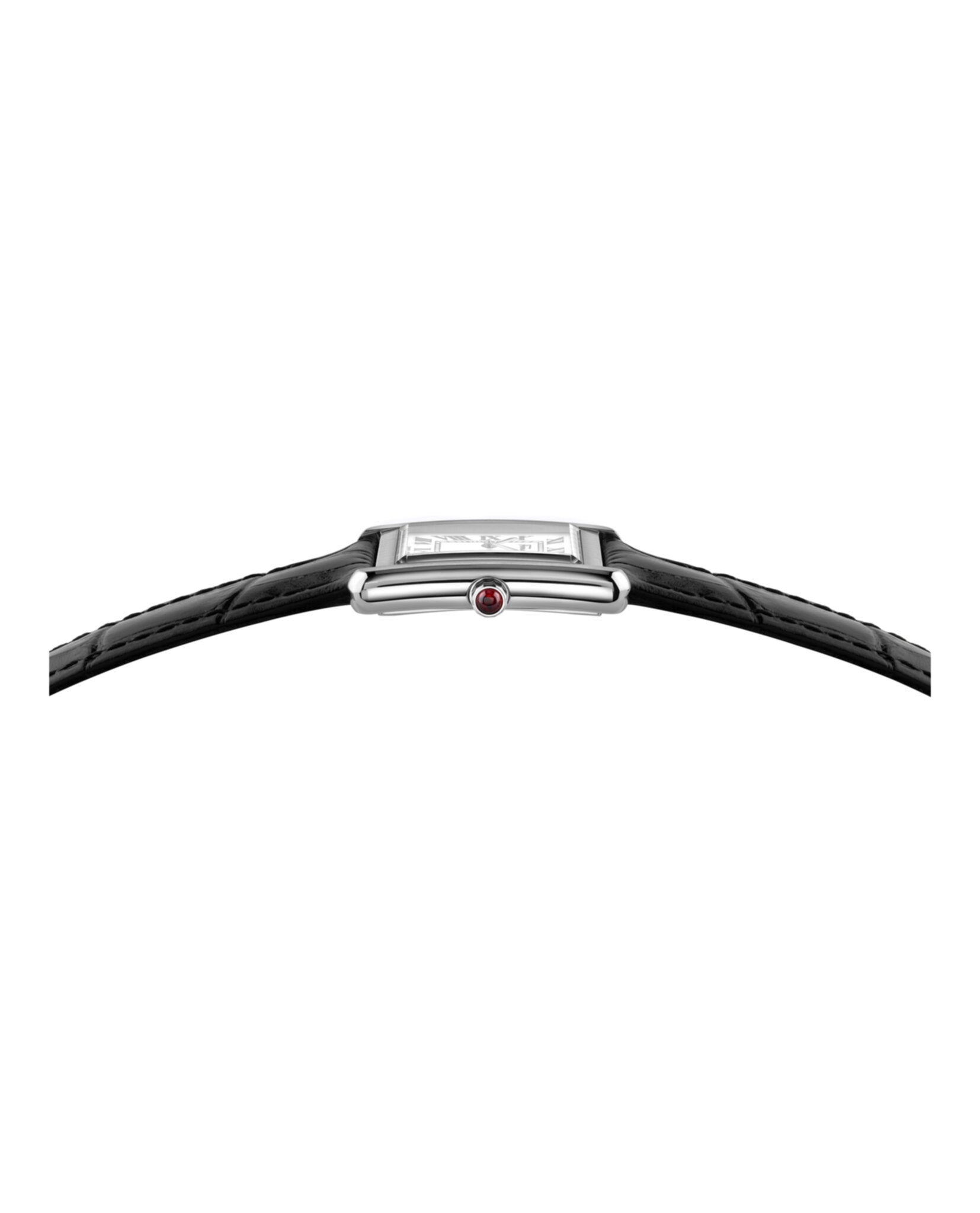 Ferragamo Ferragamo Womens  Stainless Steel 24mm Strap Fashion Watch
