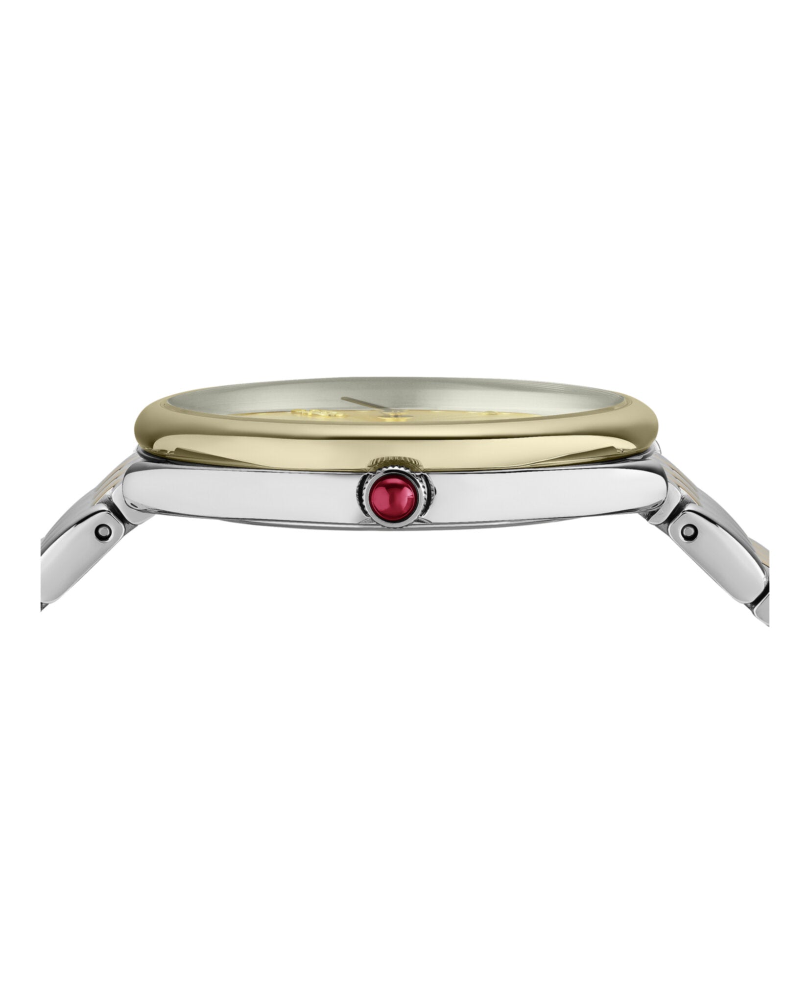 Ferragamo Ferragamo Womens  Two Tone 34mm Strap Fashion Watch