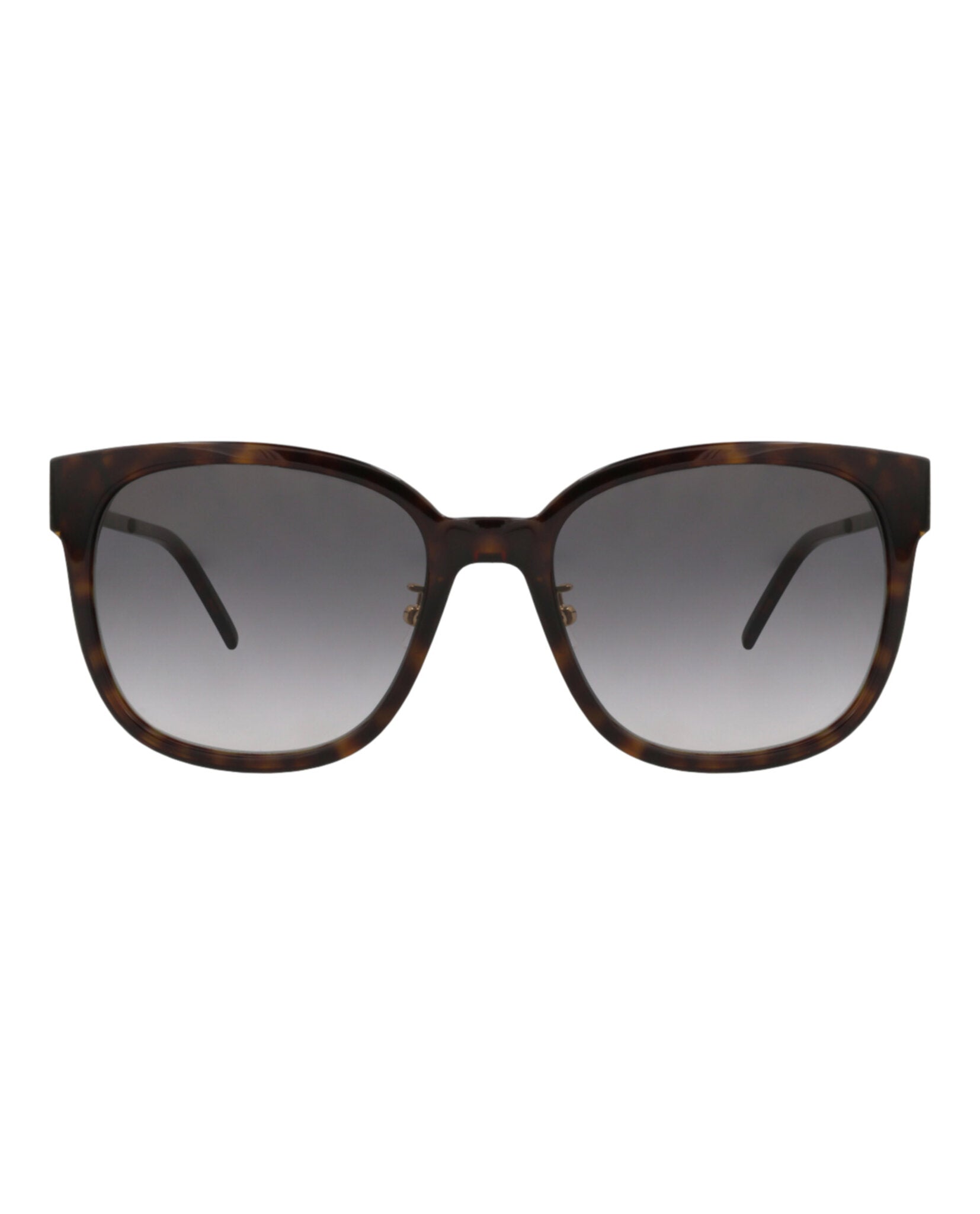 Saint Laurent Saint Laurent Womens Cat Eye Havana Gold Grey Fashion Designer Eyewear