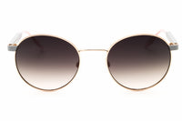 Converse Converse CV302S IGNITE Sunglasses