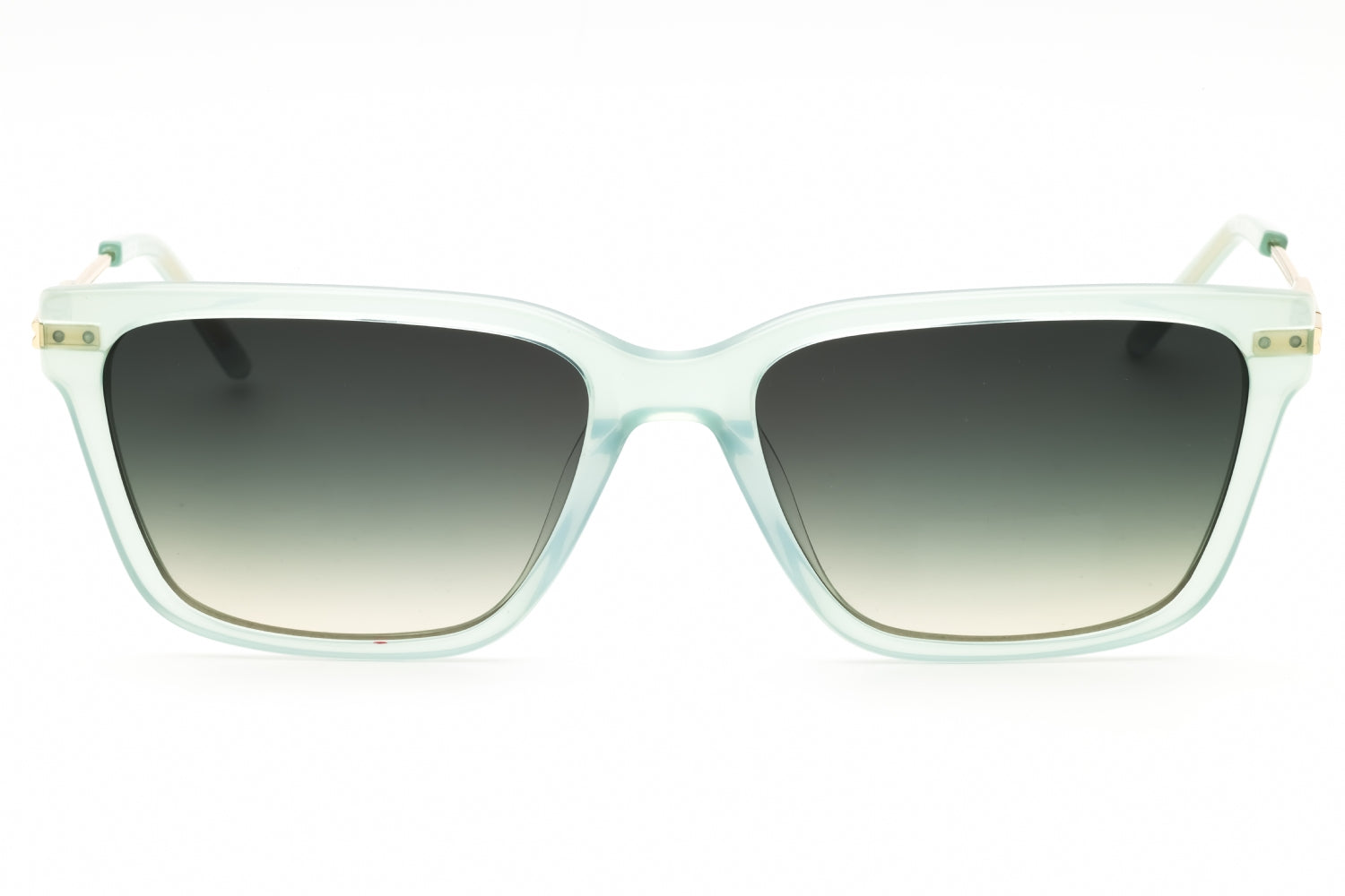 Dkny DKNY DK713S Sunglasses
