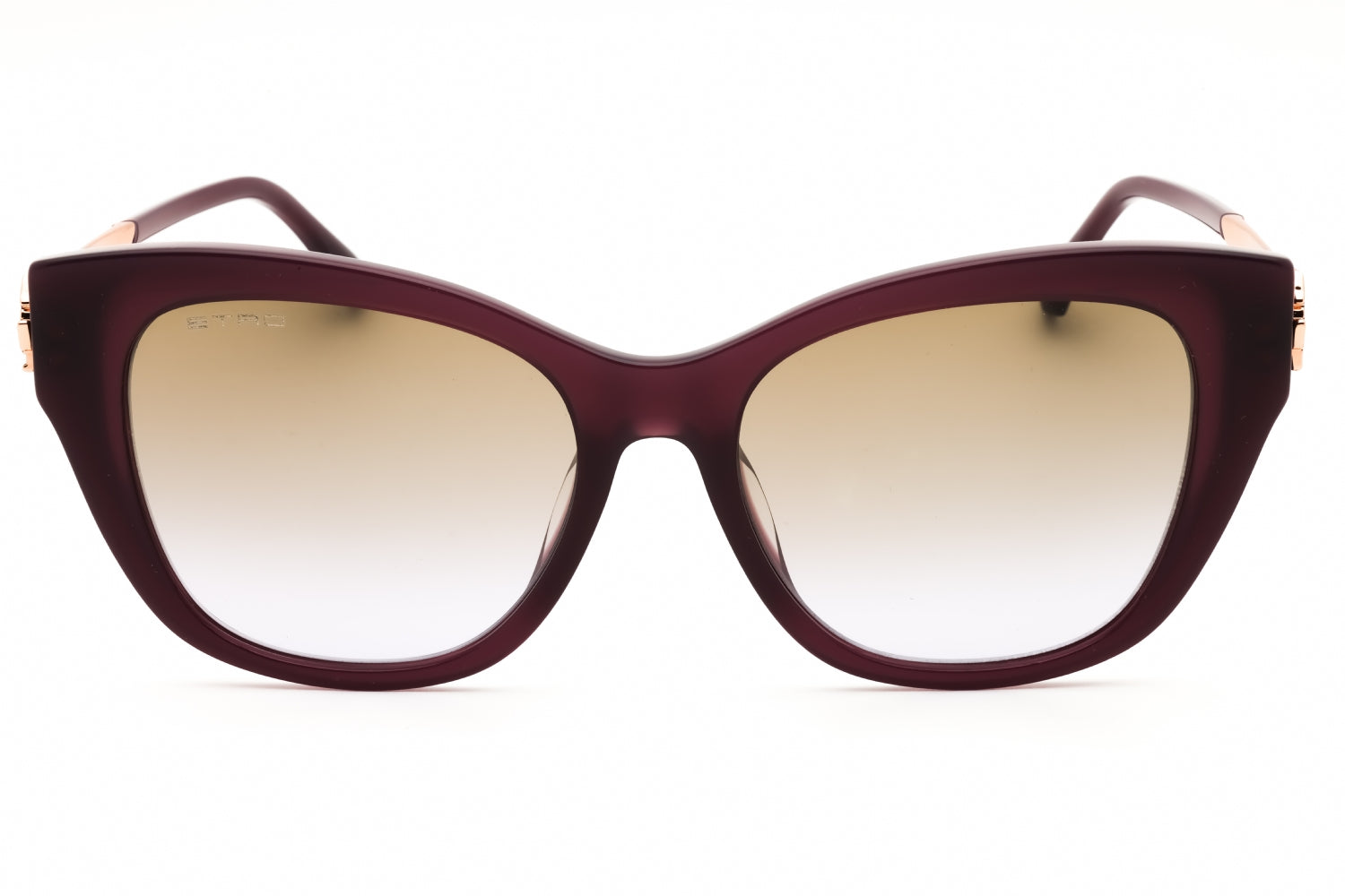 Etro Etro ETRO 0062/F/S Sunglasses