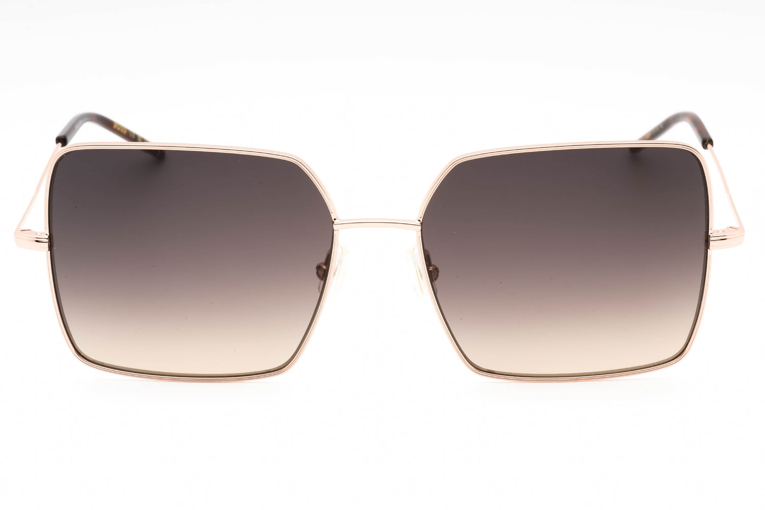Hugo Boss Hugo Boss BOSS 1531/S Sunglasses
