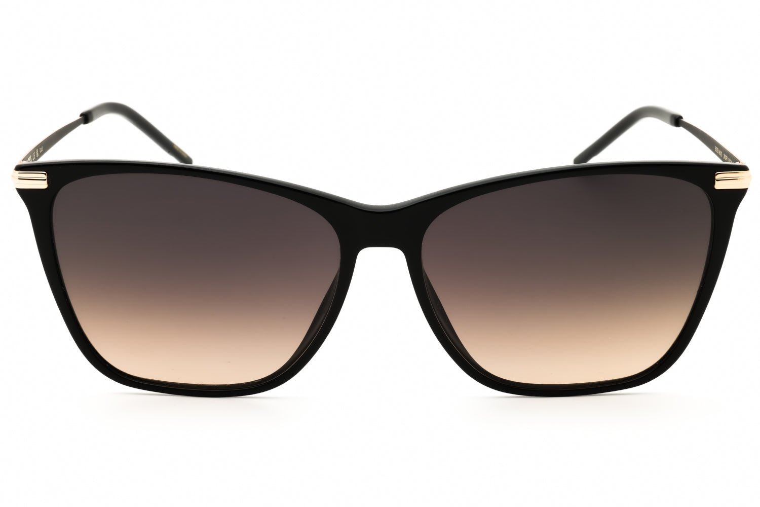 Hugo Boss BOSS 1661/S Sunglasses