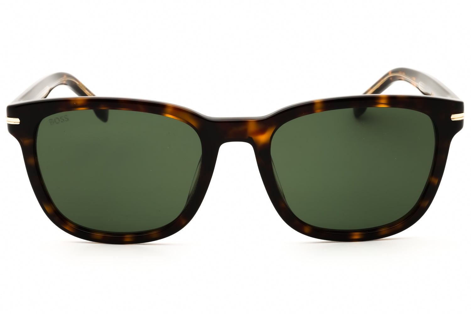 Hugo Boss Hugo Boss BOSS 1722/G/S Sunglasses