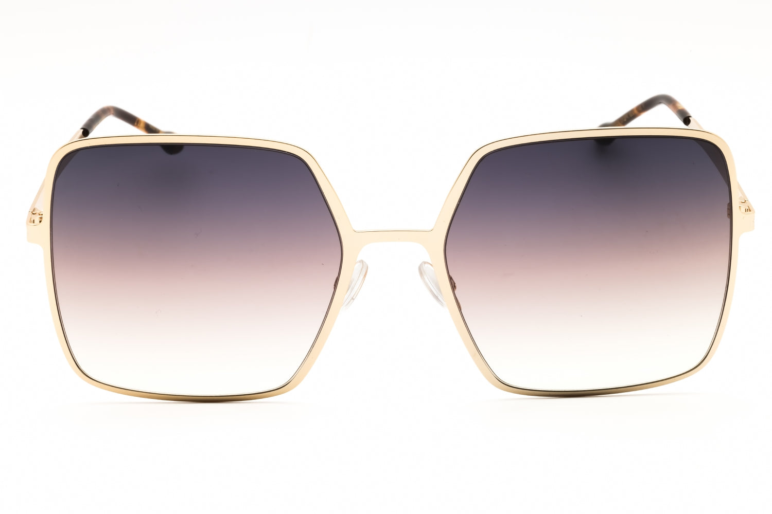 Isabel Marant Isabel Marant IM 0102/S Sunglasses