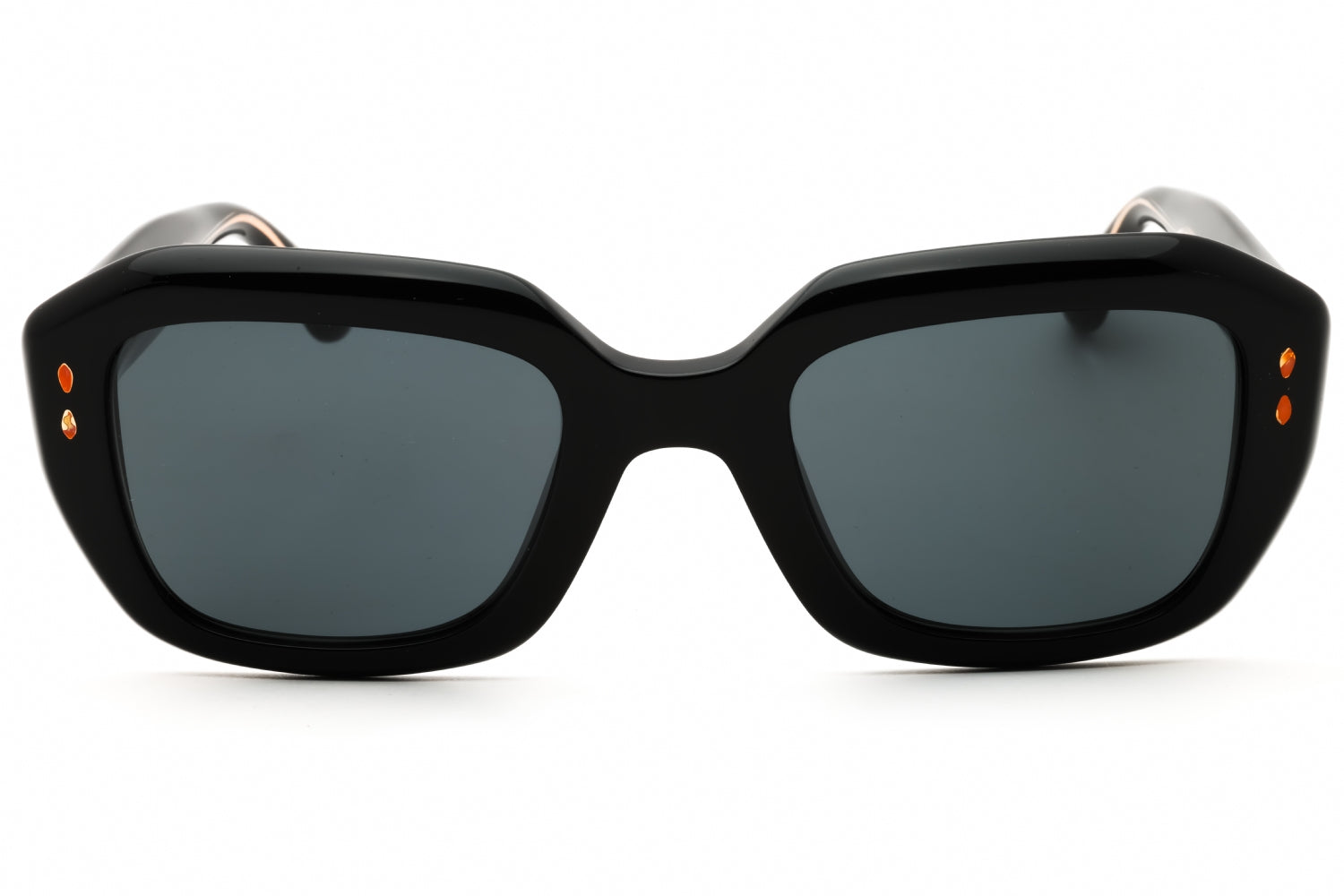 Isabel Marant Isabel Marant IM 0108/G/S Sunglasses