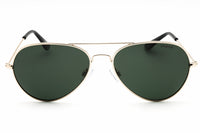 Polaroid Core 04213 Sunglasses