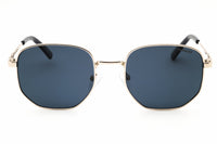 Polaroid Core Polaroid Core PLD 2081/S/X Sunglasses