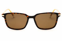 Polaroid Core Polaroid Core PLD 4169/G/S/X Sunglasses