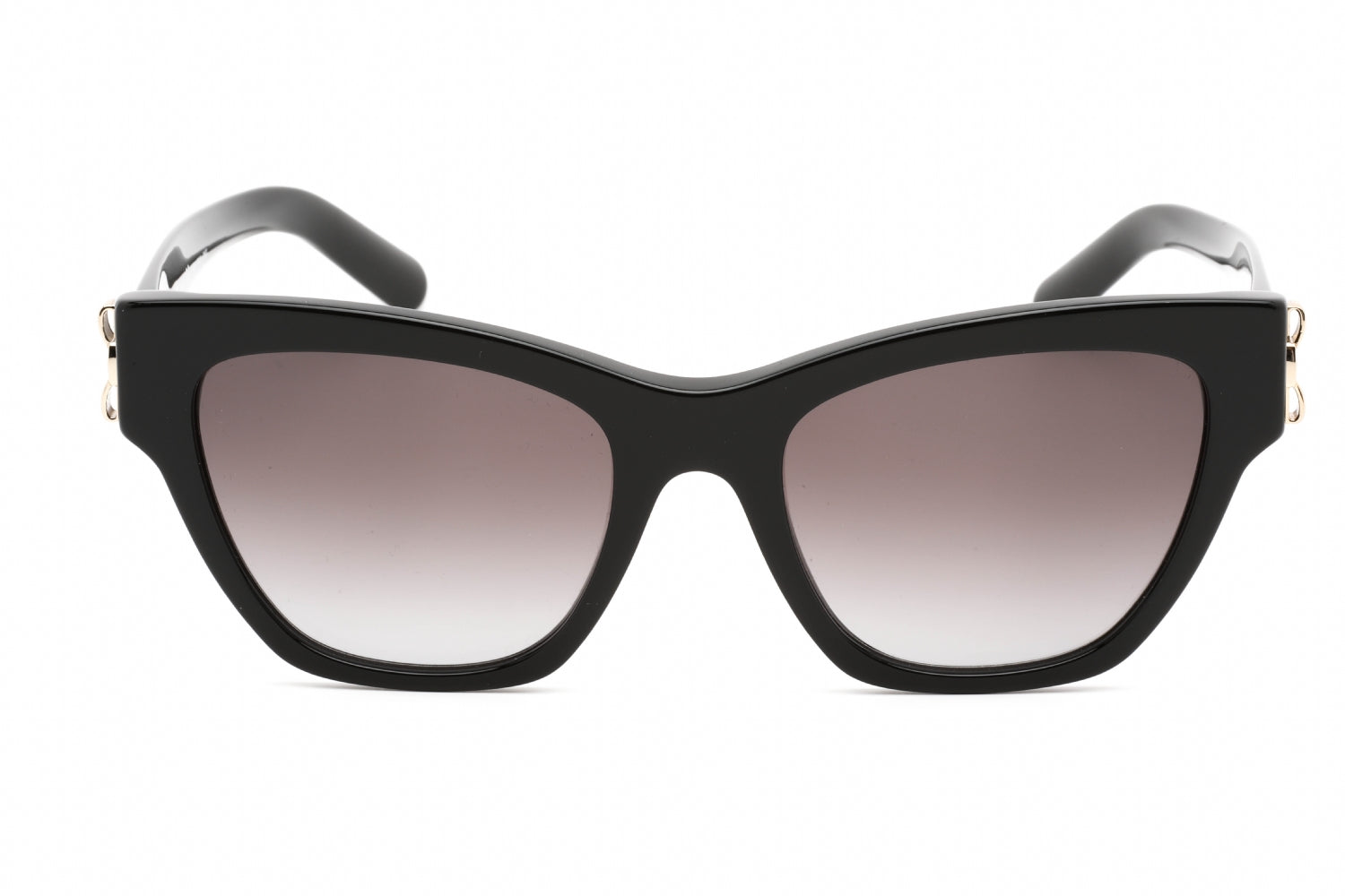Salvatore Ferragamo Salvatore Ferragamo SF1010S Sunglasses