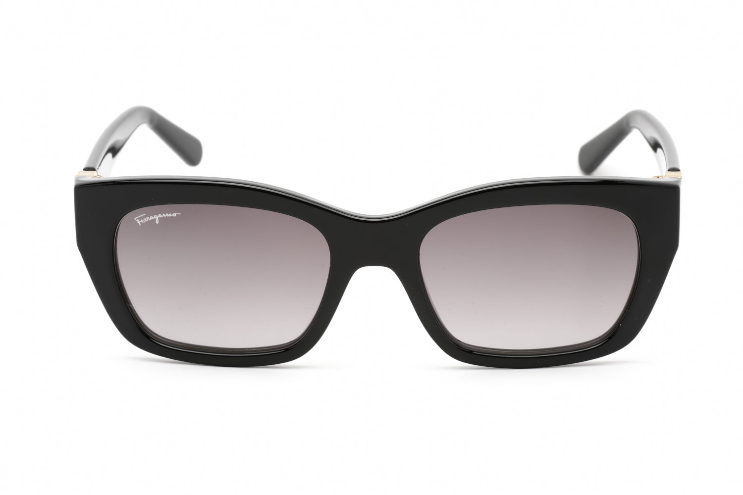 Salvatore Ferragamo Salvatore Ferragamo SF1012S Sunglasses