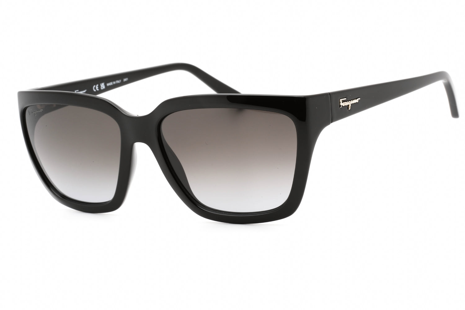 Salvatore Ferragamo Salvatore Ferragamo SF1018S Sunglasses