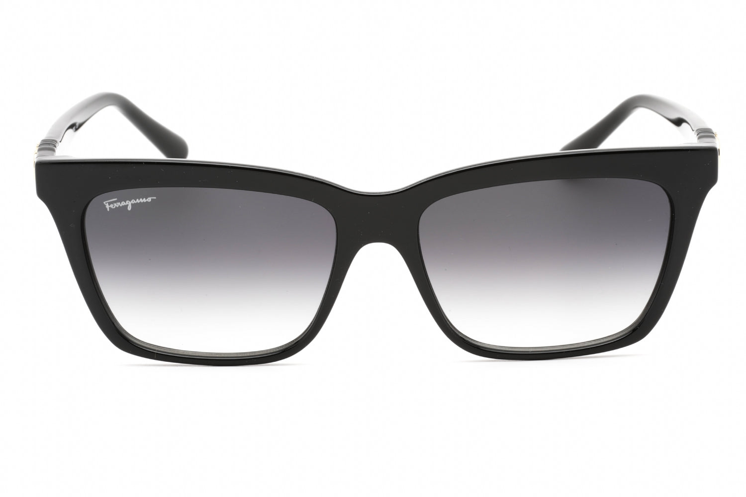 Salvatore Ferragamo Salvatore Ferragamo SF1027S Sunglasses