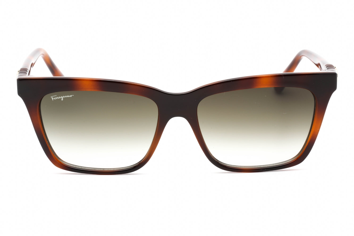 Salvatore Ferragamo Salvatore Ferragamo SF1027S Sunglasses