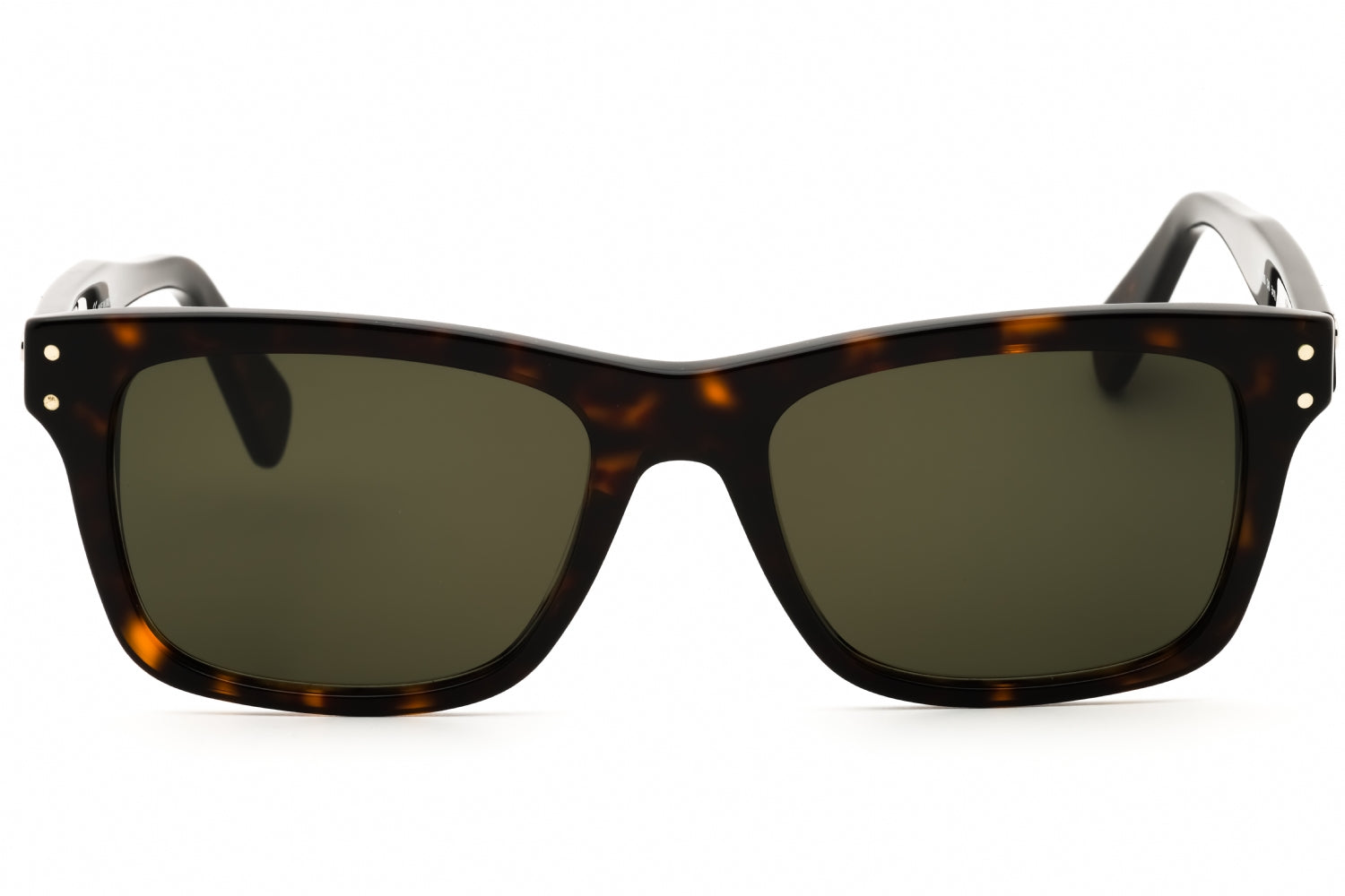 Salvatore Ferragamo Salvatore Ferragamo SF1039S Sunglasses