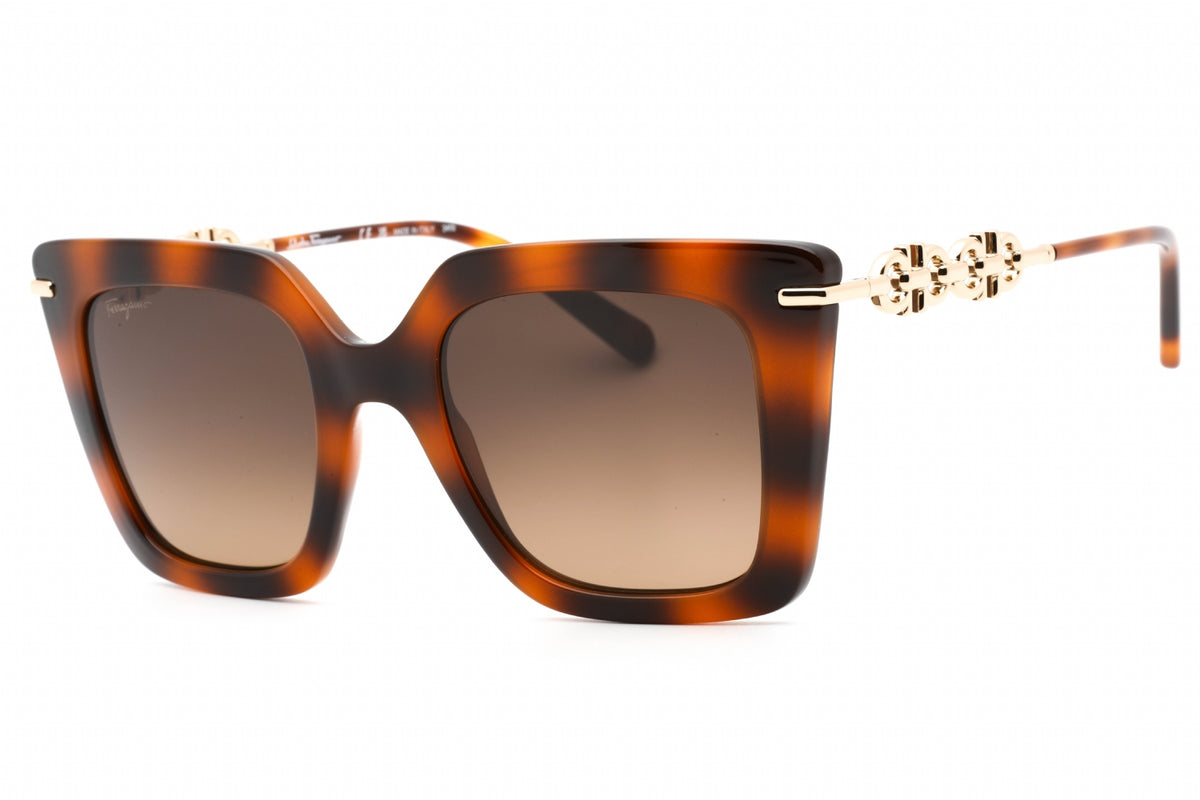 Salvatore Ferragamo ,  Frame and  Lens