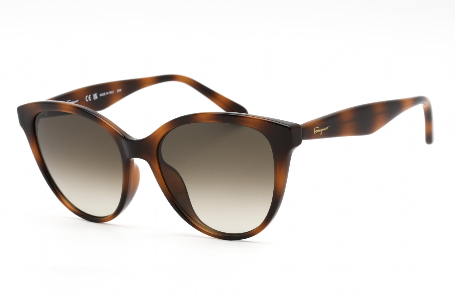 Salvatore Ferragamo SF1073S Sunglasses