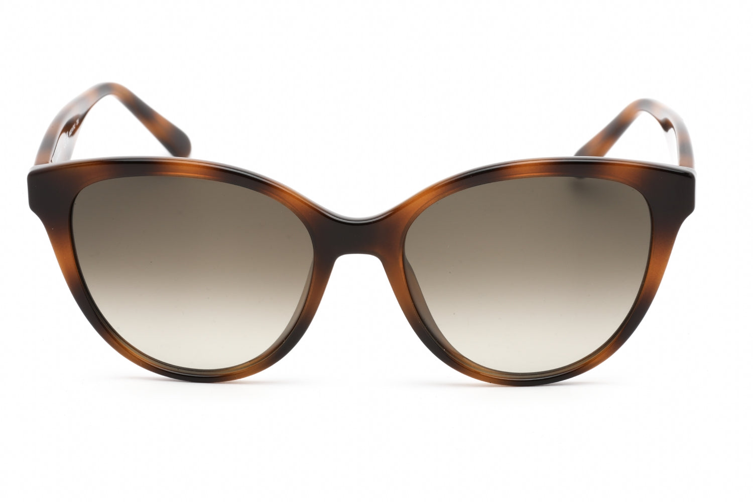 Salvatore Ferragamo SF1073S Sunglasses