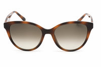 Salvatore Ferragamo SF1073S Sunglasses