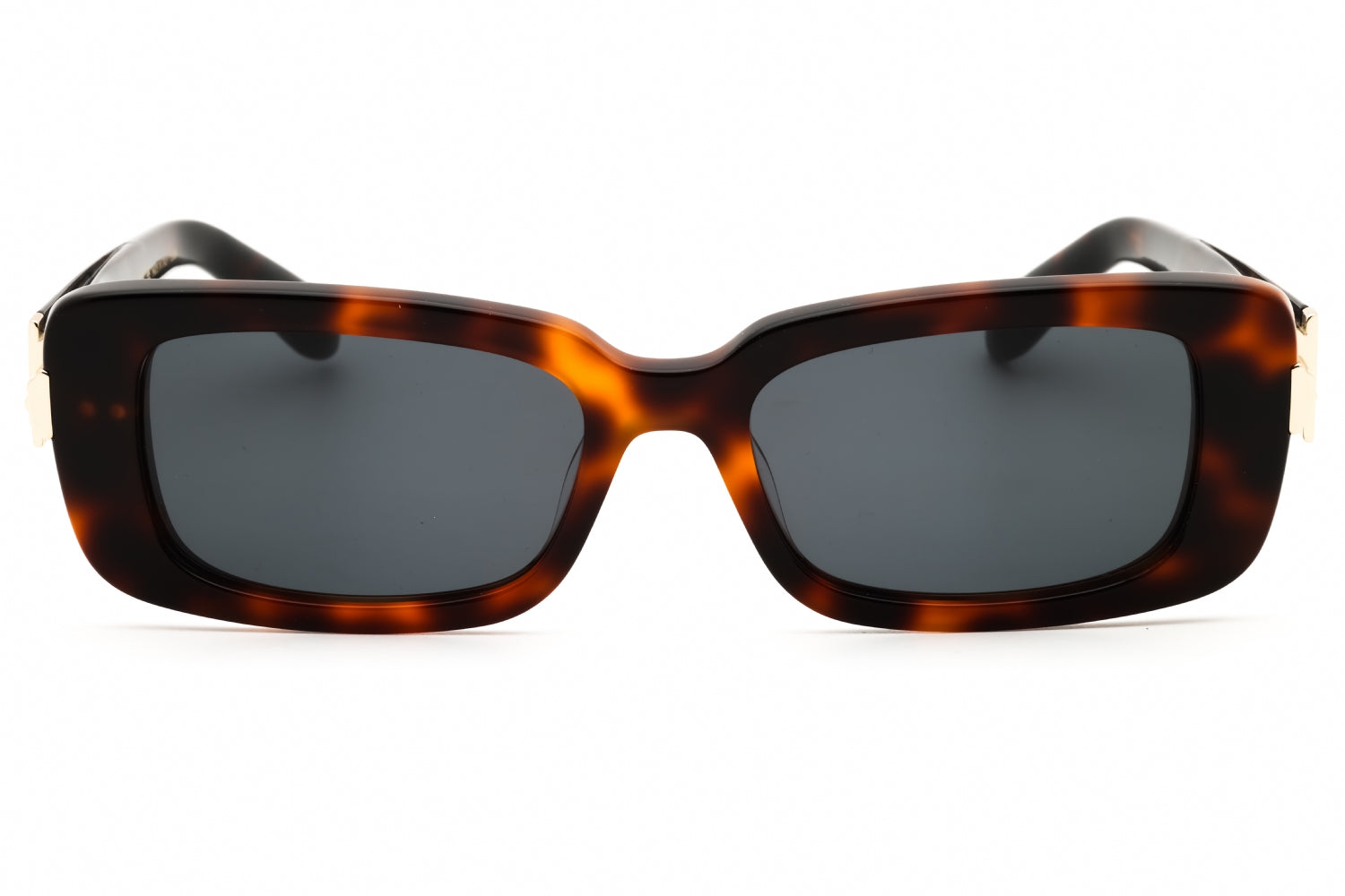 Salvatore Ferragamo Salvatore Ferragamo SF1105S Sunglasses