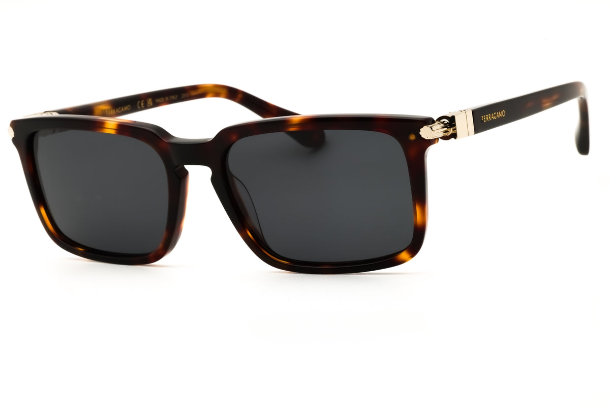 Salvatore Ferragamo SF1110S Sunglasses